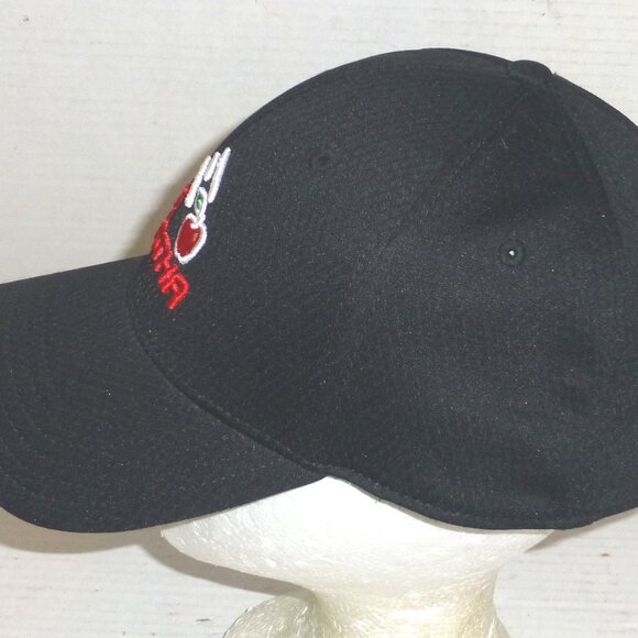 Callaway Big Bertha Falling Apple Hook & Loop Adjustable Hat Black PLEASE READ - Picture 6 of 8